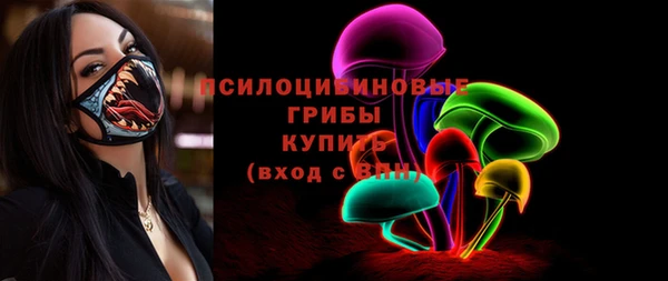 мдпв Волосово