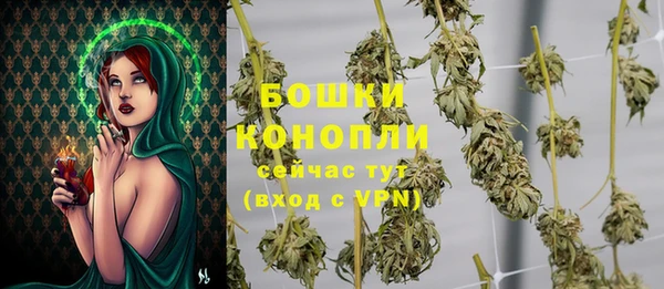 мдпв Волосово