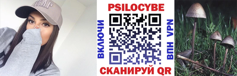 Псилоцибиновые грибы Psilocybe Инза